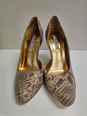 Ted Baker Taupe Snake-Print Pointed Pumps with Gold Insole